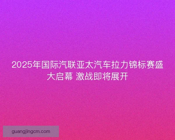 2025年国际汽联亚太汽车拉力锦标赛盛大启幕 激战即将展开 2025年国际汽联亚太汽车拉力锦标赛盛大启幕 激战即将展开