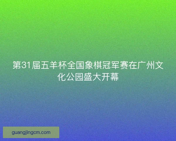 第31届五羊杯全国象棋冠军赛在广州文化公园盛大开幕