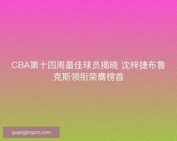 CBA第十四周最佳球员揭晓 沈梓捷布鲁克斯领衔荣膺榜首